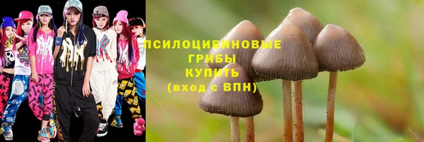 метадон Гусиноозёрск