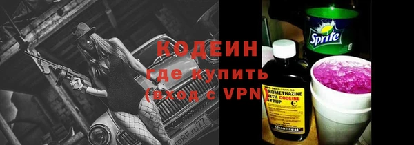 ешки Гусь-Хрустальный