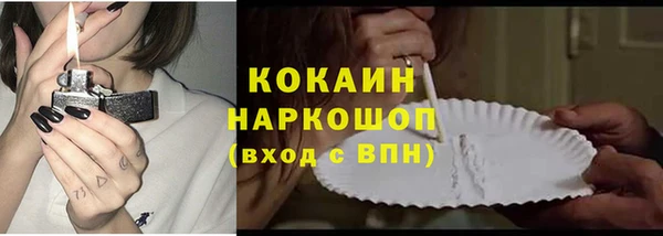 мяу мяу мука Горно-Алтайск