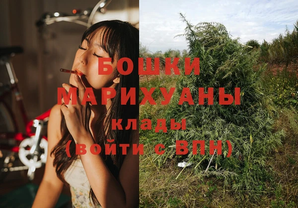 ешки Гусь-Хрустальный