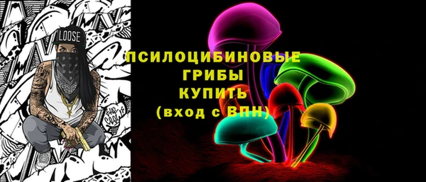 ешки Гусь-Хрустальный